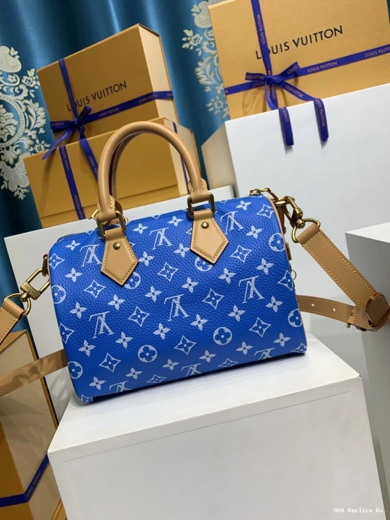 AAA Pruses Bags Louis SPEEDY Vuitton 25 0711